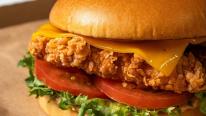 House burger