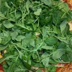 Fiorella pizza